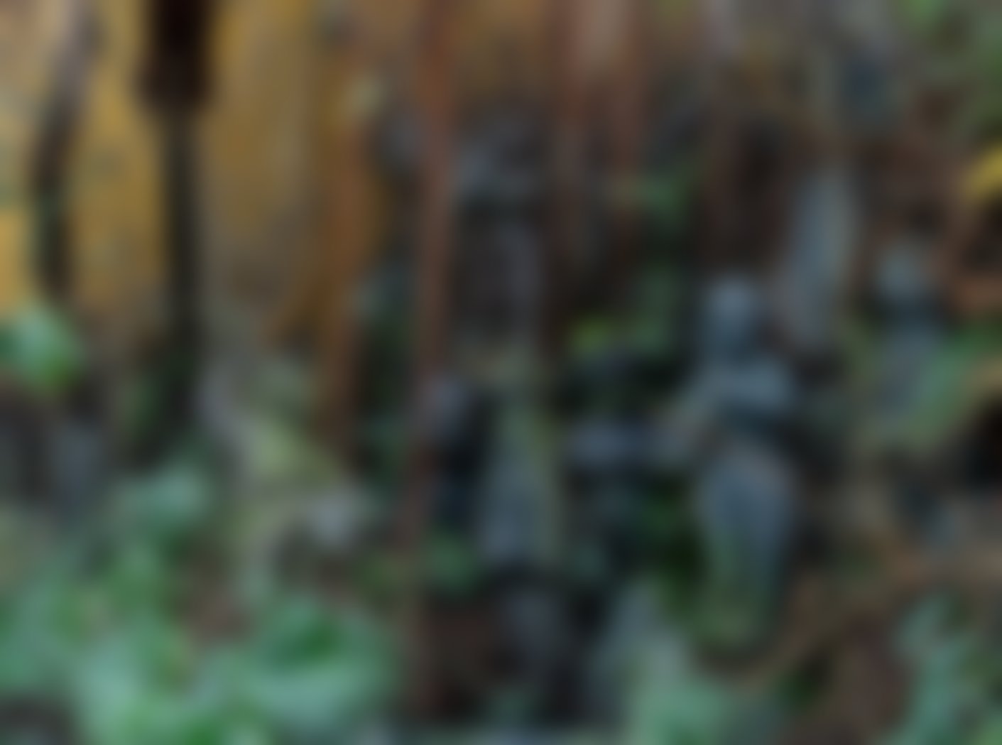 Jardín - imagen referencial desenfocada