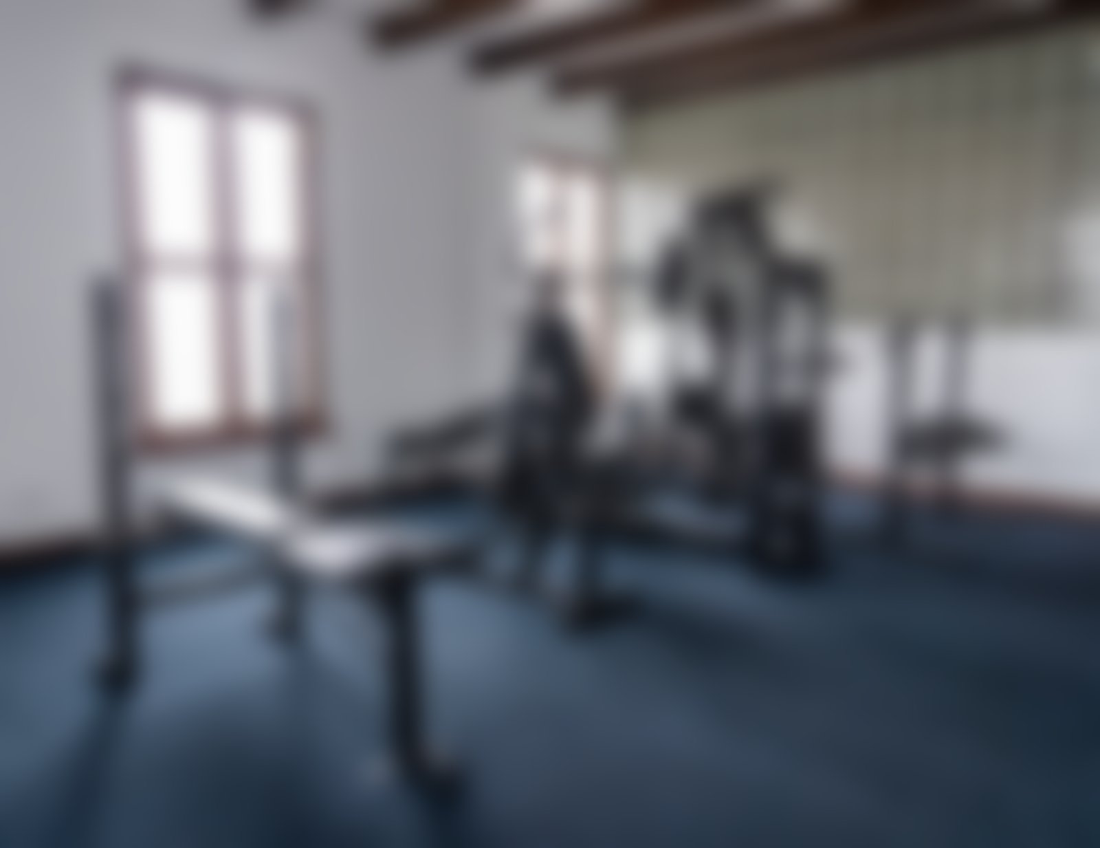 Gimnasio - imagen referencial desenfocada